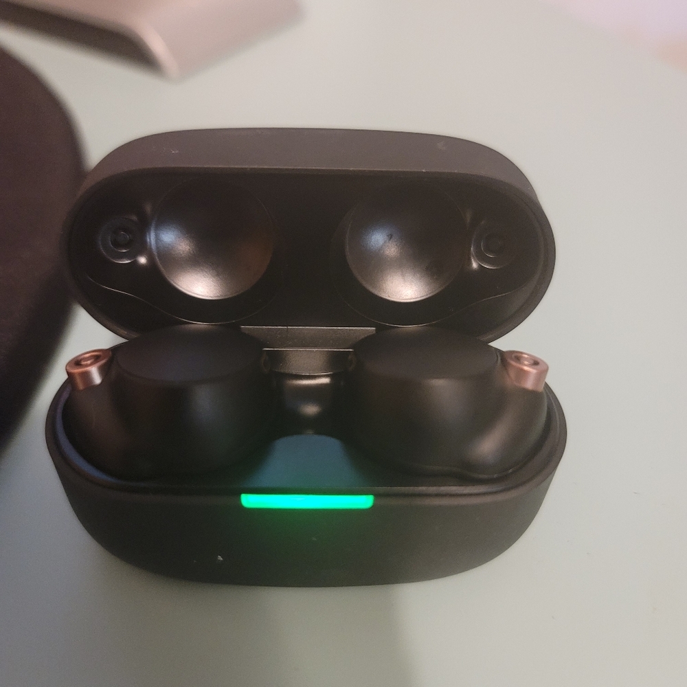 Earbuds